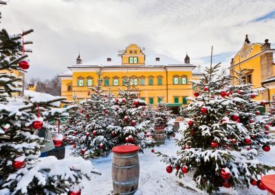 Salzburg Winter